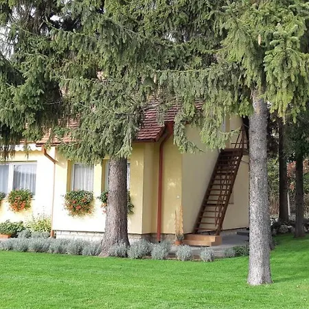 Corner
